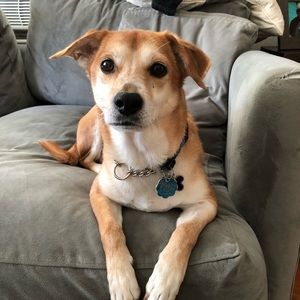 Meet your Posher, Amandamanda